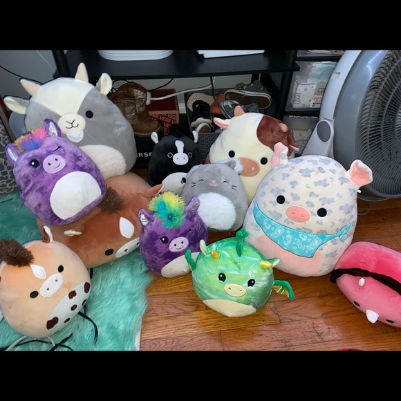 Squishmallows!! Sizes vary as well as prices! - Picture 3 of 5